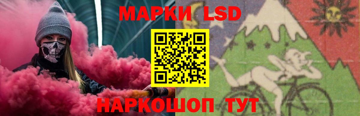 Бошки Шишки Касимов