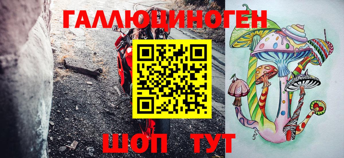 Галлюциногенные грибы Psilocybe Касимов