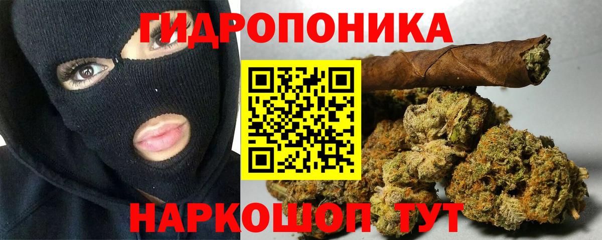 Бошки Шишки OG Kush  Конопля VHQ  Вход с VPN  Шишки марихуана сатива  Касимов 